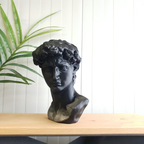 Complementi d'arredo: Scultura David 3D
