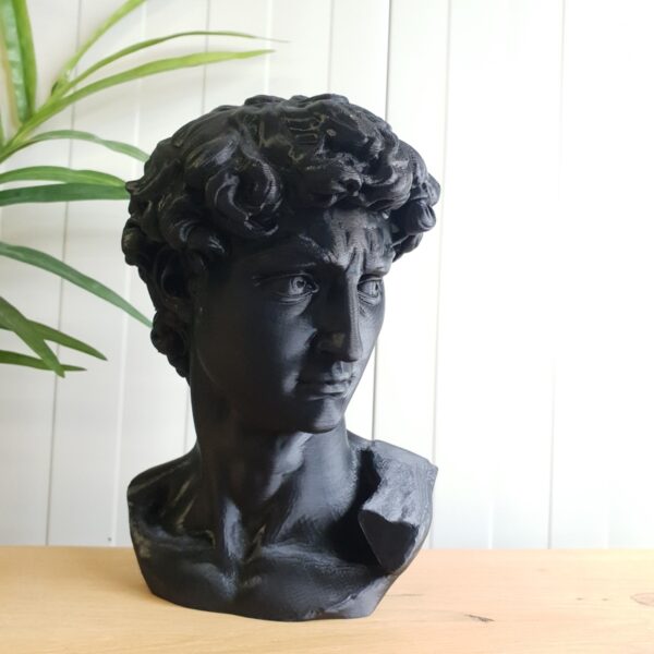 Complementi d'arredo: Scultura David 3D