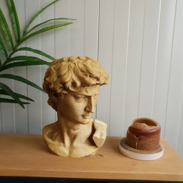 Complementi d'arredo: Scultura David 3D