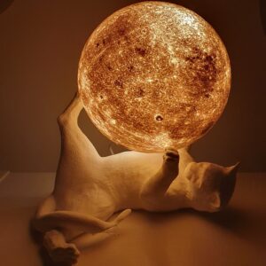 Complementi d'arredo: Lampada la luna e il gatto.